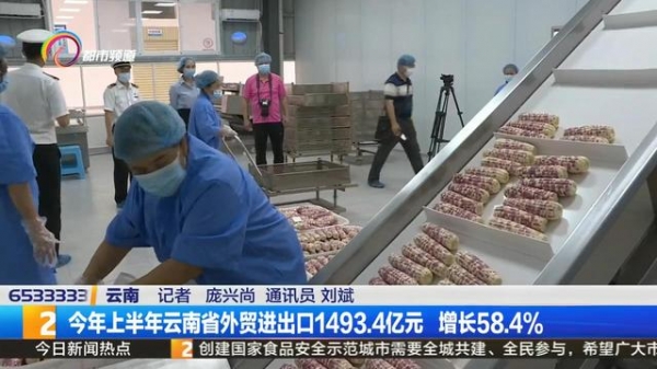 今年上半年云南省外贸进出口1493.4亿元 增长584%-4.jpg