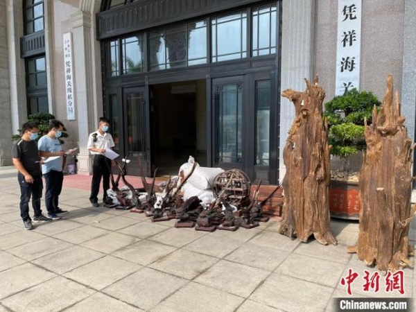 广西凭祥海关向林业部门移交濒危动植物及其制品1.2吨-2.jpg