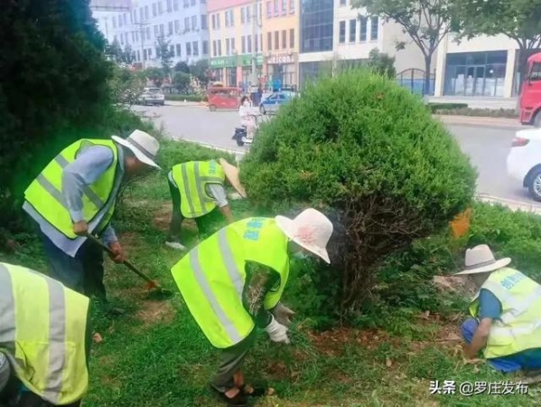 临沂海关领导来我区调研！来了，罗庄新闻直通车-7.jpg