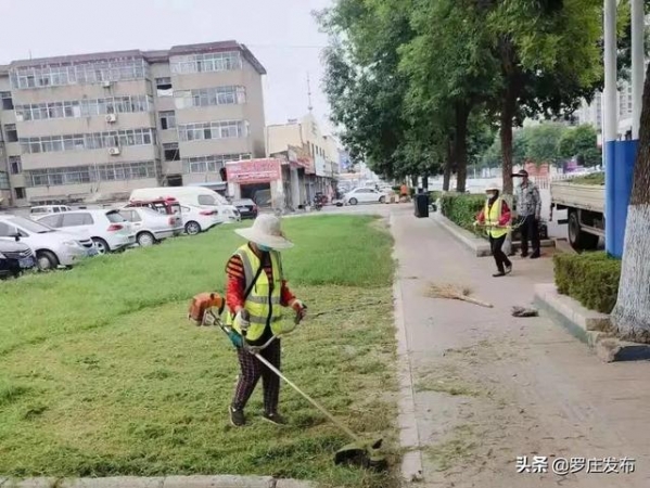 临沂海关领导来我区调研！来了，罗庄新闻直通车-8.jpg