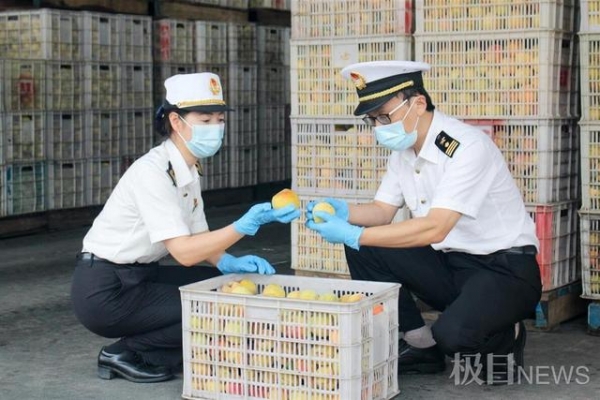 武汉海关助企业抢抓机遇，黄桃罐头海外订单猛增-1.jpg