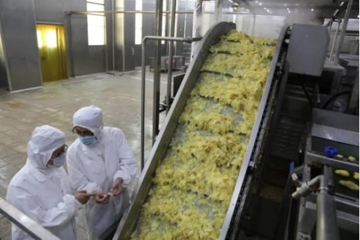 山东莱芜海关打造全国最大出口腌渍姜片产业基地-3.jpg