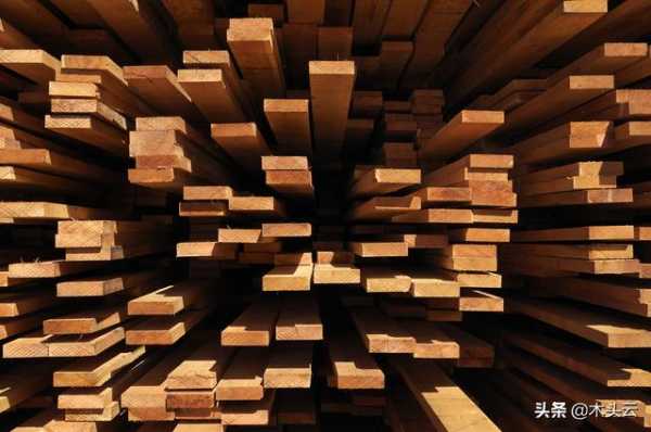 2021上半年木材与木制品进出口现状-3.jpg