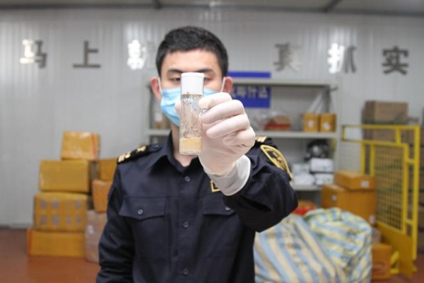 中国海关截获美国包裹，7000多只黑腹果蝇非法入境，到底有何居心-15.jpg