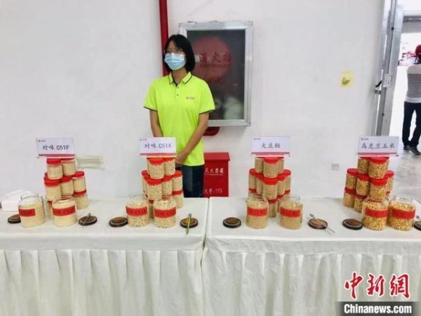 贵阳综保区100万吨粮食保税加工项目正式投产-4.jpg