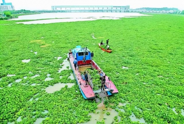 美国包裹！上海海关截获56株多肉植物 生物战已经开始了吗？-3.jpg