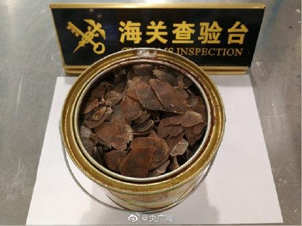 西安海关查获象牙制品和穿山甲鳞片 藏匿手法隐蔽-2.jpg