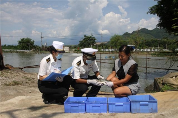 孟定海关助力活鱼出口-1.jpg