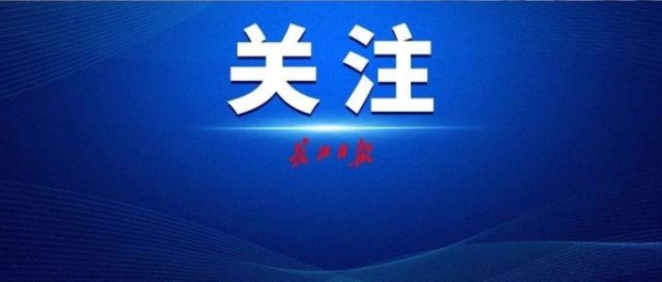 武汉市半年进出口1535.4亿元，占全省62.7%-1.jpg