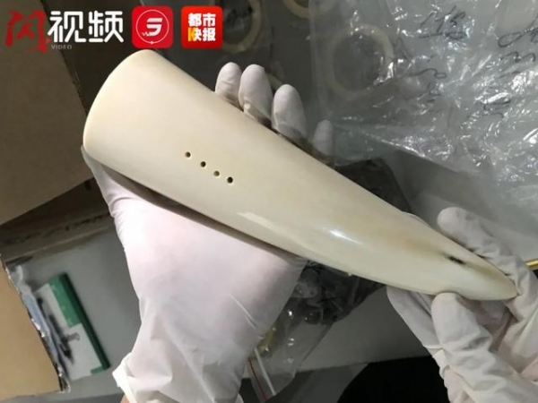 藏于红酒箱、蜂蜜罐中！两男子竟从非洲带回......西安海关查获-2.jpg