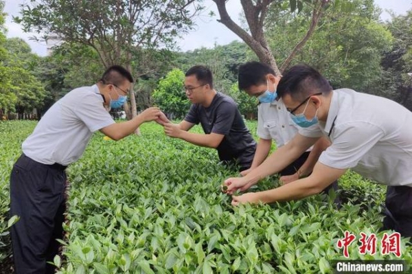 “民营经济大市”泉州上半年民企进出口增幅近九成-2.jpg