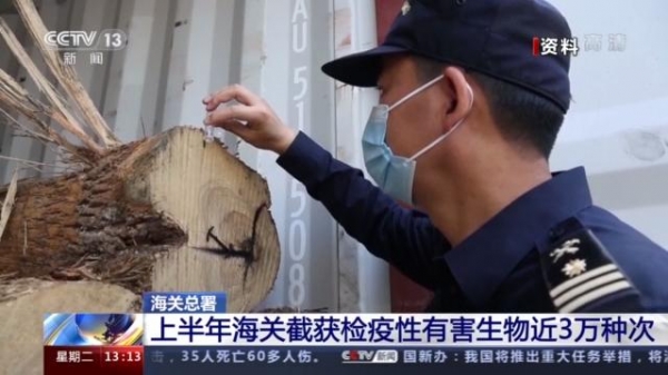 海关总署：上半年海关截获检疫性有害生物近3万种次-1.jpg