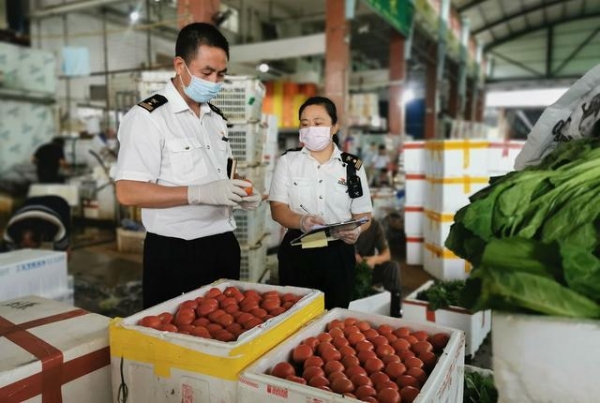 东莞海关：打造绿色“菜篮子”出口蔬菜更安全-1.jpg