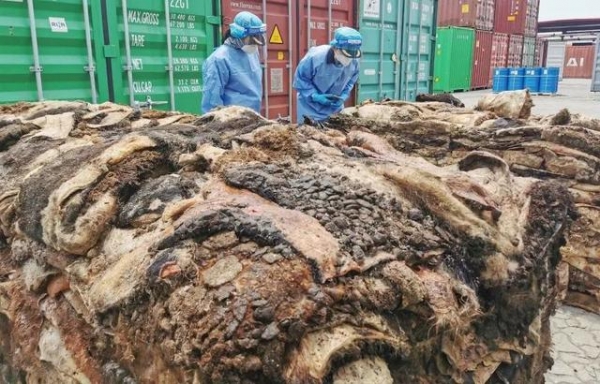 看吐了，用于加工生产食品添加剂的生牛皮！黄岛海关查获一批禁止进口“洋垃圾”-1.jpg