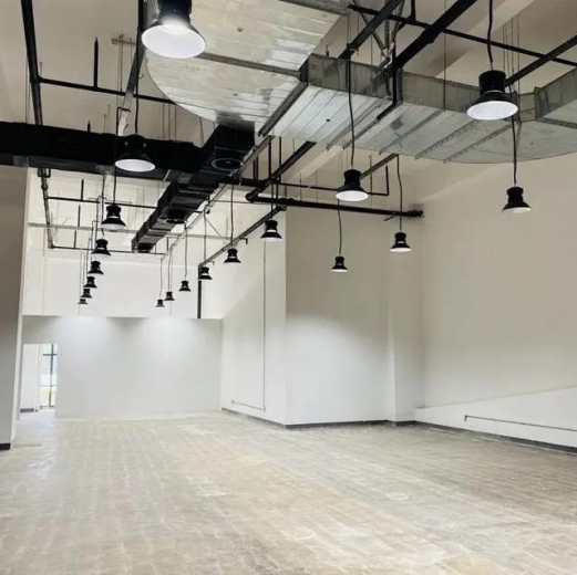 东疆新基建：丰驰汽车保税展示中心投用！-7.jpg