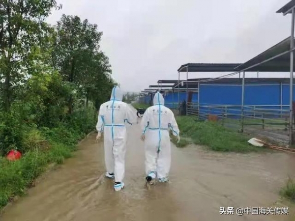 坚守工作在一线，不畏风雨海关人-12.jpg