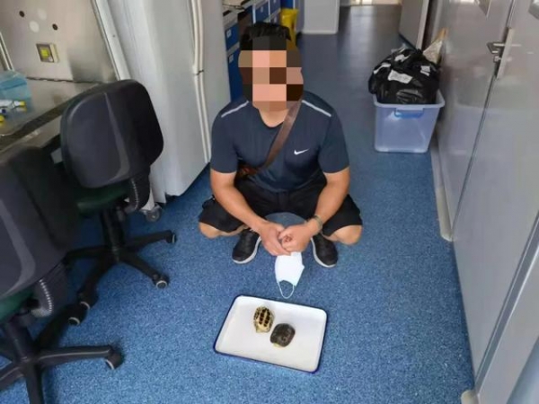 煲汤的乌龟竟是国家二级保护动物！海关在饭盒里发现两只活乌龟-1.jpg