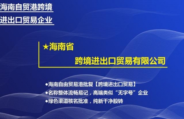 海南省跨境进出口贸易企业字号打造-1.jpg