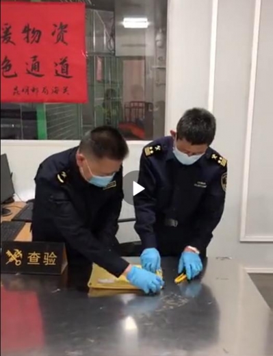 假申报！昆明海关查获70只活体红狂蚁 游戏养殖，违规走私海外物种-3.jpg