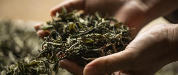 茶数据丨2021年6月中国茶叶进出口数据-1.jpg