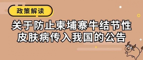 【动植物检疫】关于防止柬埔寨牛结节性皮肤病传入我国的公告解读-2.jpg