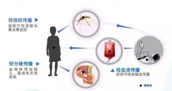 【卫生检疫】严防输入，拒绝受“疟”-8.jpg