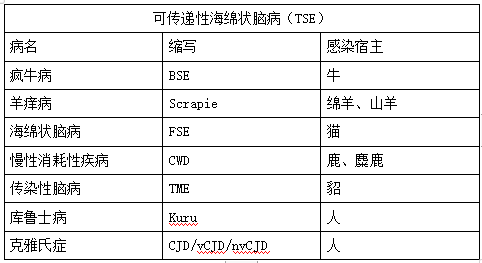 一文了解疯牛病w2.jpg