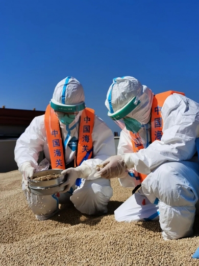 福州海关:旗帜鲜明讲政治 知行合一抓落实w12.jpg