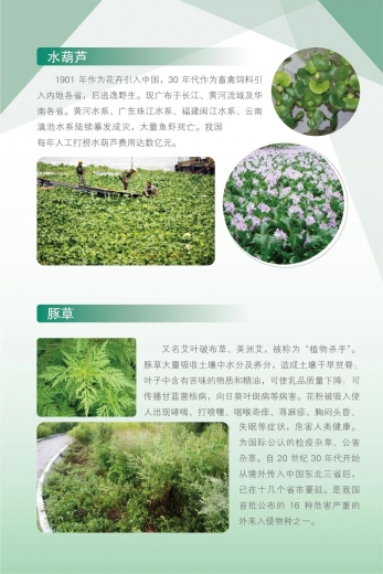 国门生物安全宣传进行时 | 一堂特别的“线上课”w24.jpg