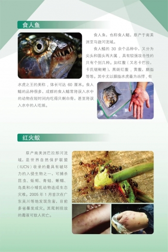 国门生物安全宣传进行时 | 一堂特别的“线上课”w27.jpg