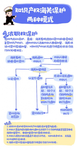 【知识产权保护】海关知识产权保护知多少!w4.jpg