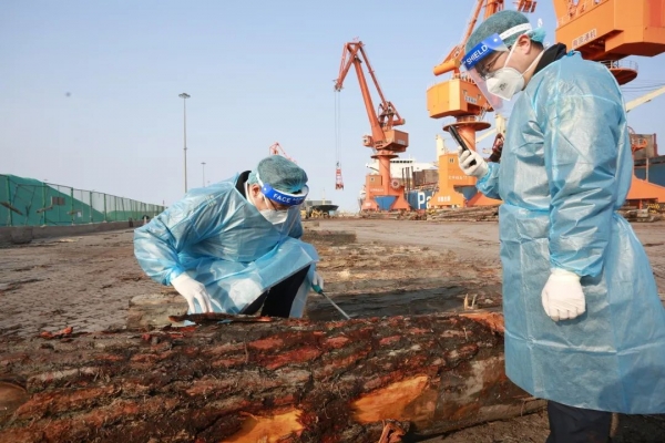 生物安全重任在肩,国门卫士冲锋在前w11.jpg