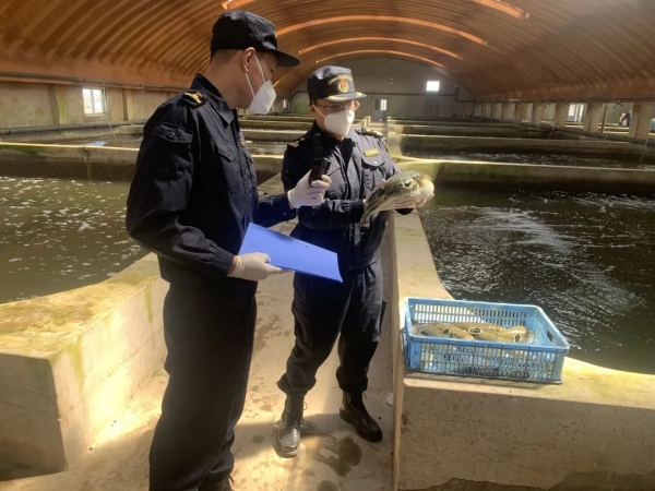 石家庄海关开辟属地查检绿色通道助力河北特色农食产品出口w10.jpg