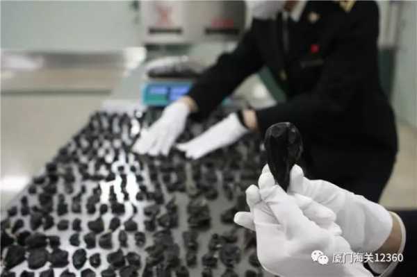 蛇胆塞满行李箱,熊胆汁伪装成红茶!厦门海关查获多起野生保护动物制品走私案w5.jpg