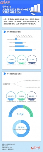 数据图解｜今年8月货物进出口总额34293亿元 贸易结构持续优化-1.jpg