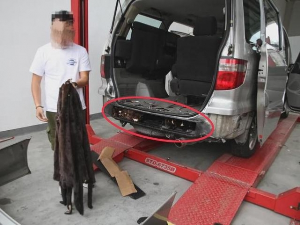 广东海关查获1079张貂皮制品，水貂市场“出圈”，谁才是受害者？-2.jpg