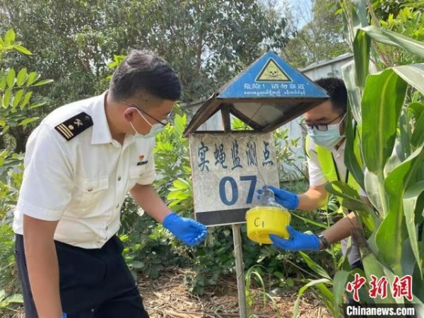 昆明海关1—9月截获有害生物180种6071次-1.jpg