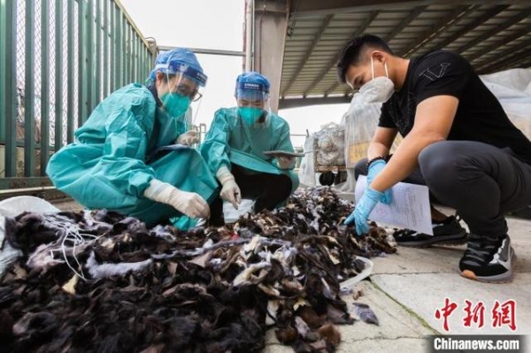 北京海关连续查获共计6.98吨动物毛皮碎料-2.jpg
