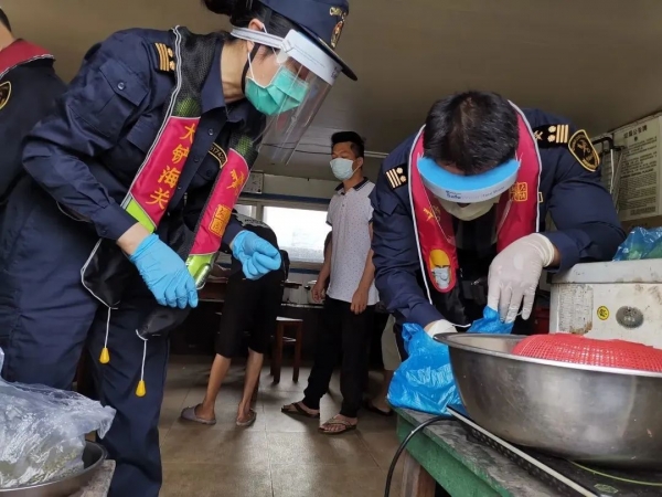 广州海关截获中途监管渠道首例检疫性有害生物—四纹豆象活虫w3.jpg