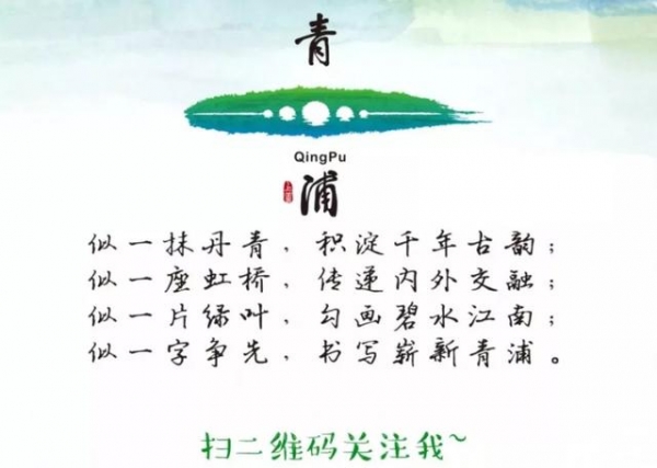 外国高端人才三地互认！青浦区“外国人来华工作、居留单一窗口”正式揭牌启用-5.jpg