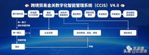 跨境贸易金关数字化智能管理系统（CCIS）-1.jpg