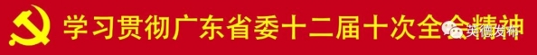 英德：出口退税再“提速” 助力企业加速跑-1.jpg