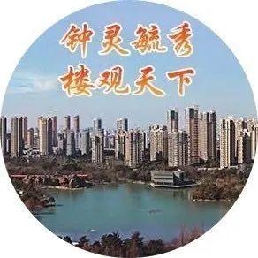 全市首家！格力博成为“企业集团加工贸易监管模式改革”创新试点-1.jpg