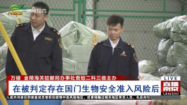 金陵海关大数据“捕中”50头活体蜘蛛 维护国门安全切勿随意海淘“另类宠物”-1.jpg