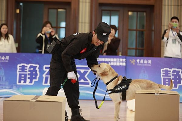 守卫国门安全有它们的功劳！海关监管工作犬上岗也要资格考核-2.jpg