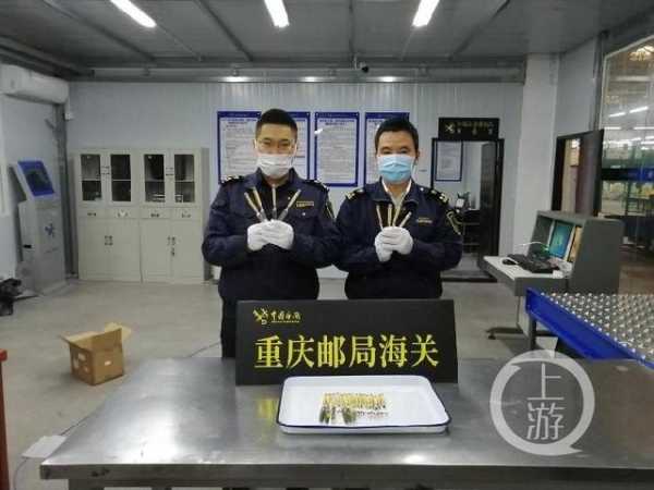 莫存侥幸心理！重庆海关查获一批象牙制品-1.jpg