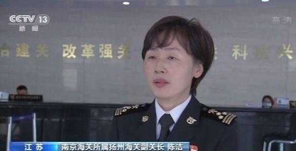 海关总署：前10个月我国外贸进出口总值25.95万亿元 已连续5个月正增长-4.jpg