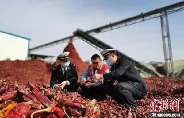 前10月山东外贸进出口总值达1.76万亿元 10月当月再破2000亿元-1.jpg