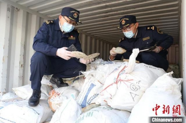 九江海关查获一批国家重点保护野生动物制品 共11.1吨-1.jpg