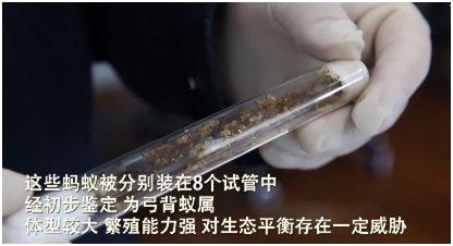 每日快讯∣最高降幅95%！河南55种药品降价；郑州海关截获600多只活蚂蚁-5.jpg